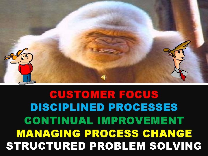 CUSTOMER FOCUS DISCIPLINED PROCESSES CONTINUAL IMPROVEMENT MANAGING PROCESS CHANGE STRUCTURED PROBLEM SOLVING 