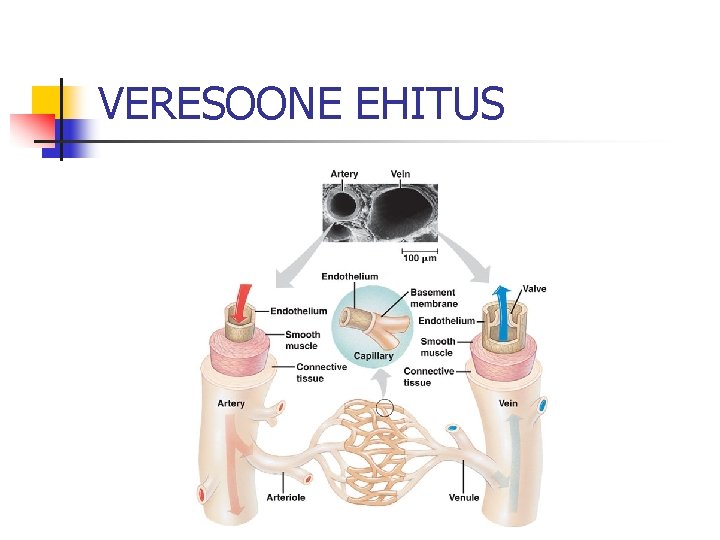 VERESOONE EHITUS 