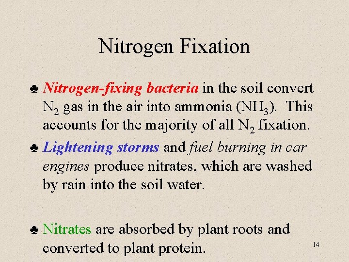 Nitrogen Fixation Nitrogen-fixing bacteria in the soil convert N 2 gas in the air