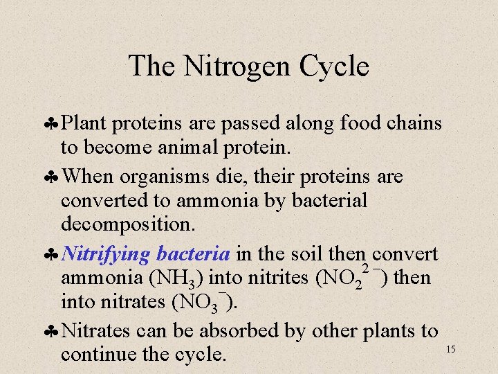 The Nitrogen Cycle § Plant proteins are passed along food chains to become animal