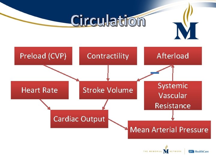 Circulation Preload (CVP) Heart Rate Contractility Afterload Stroke Volume Systemic Vascular Resistance Cardiac Output