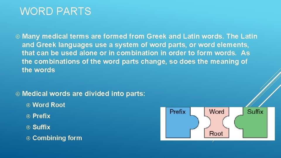 WORD PARTS Many medical terms are formed from Greek and Latin words. The Latin