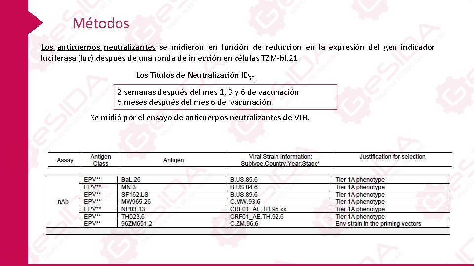 Métodos Los anticuerpos neutralizantes se midieron en función de reducción en la expresión del