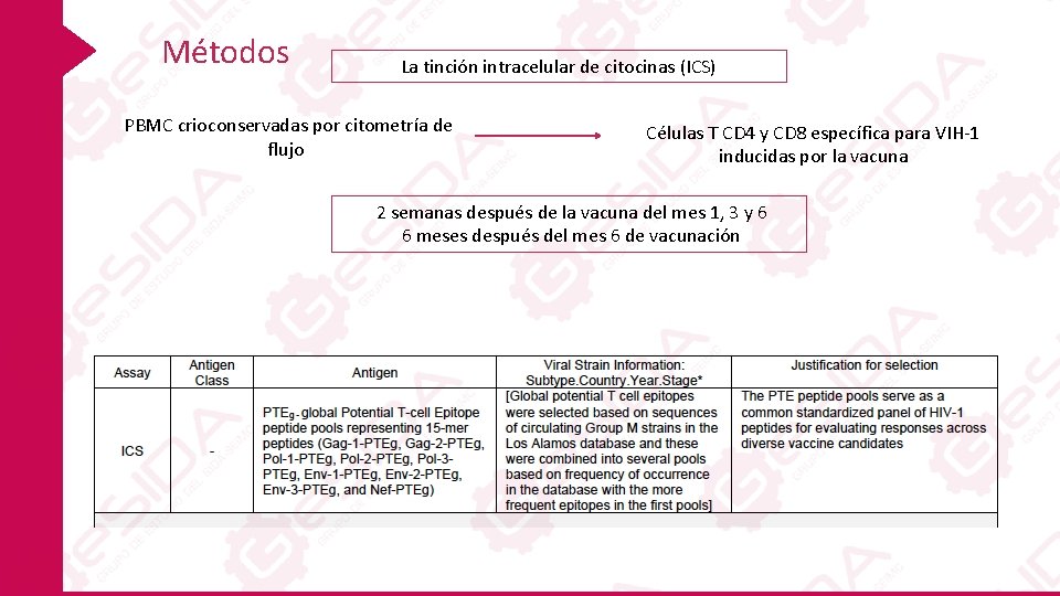 Métodos La tinción intracelular de citocinas (ICS) PBMC crioconservadas por citometría de flujo Células