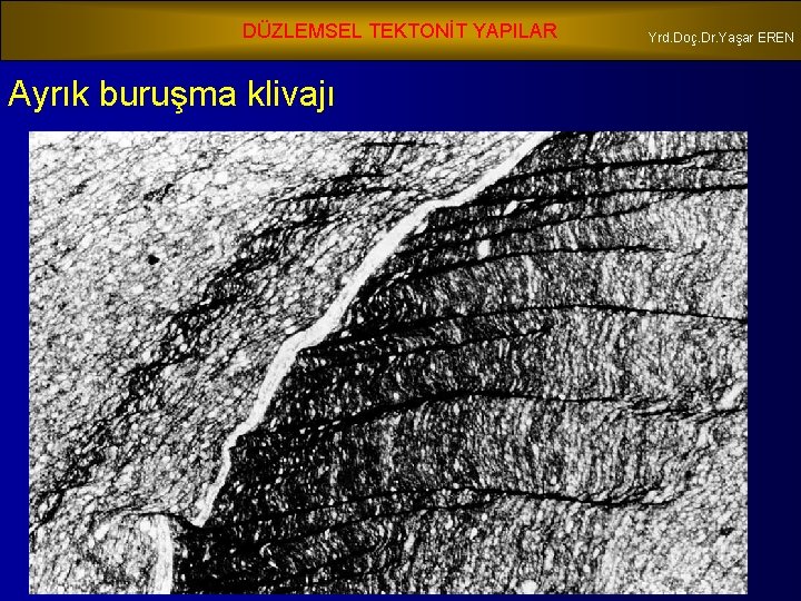 DÜZLEMSEL TEKTONİT YAPILAR Ayrık buruşma klivajı Yrd. Doç. Dr. Yaşar EREN 