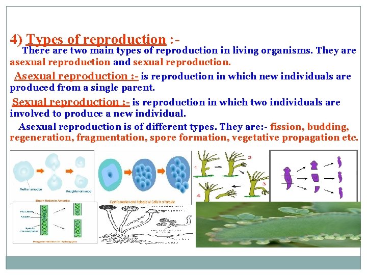 4) Types of reproduction : - There are two main types of reproduction in