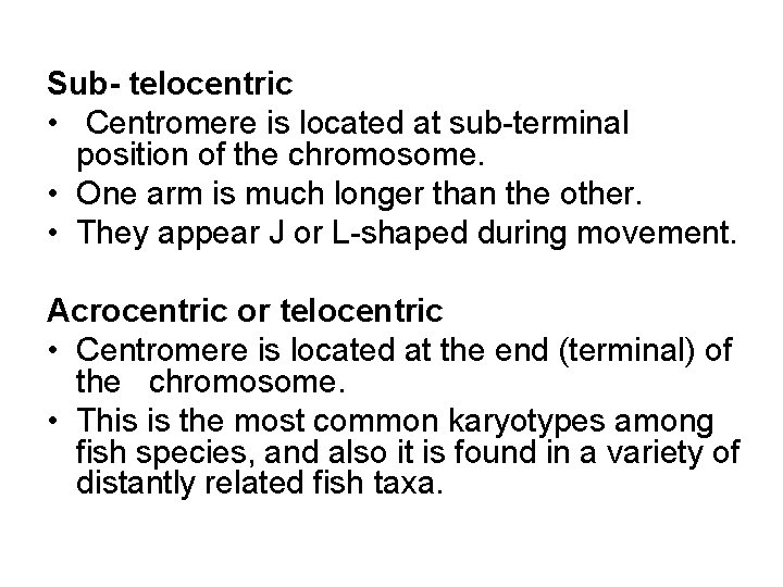 Sub- telocentric • Centromere is located at sub-terminal position of the chromosome. • One