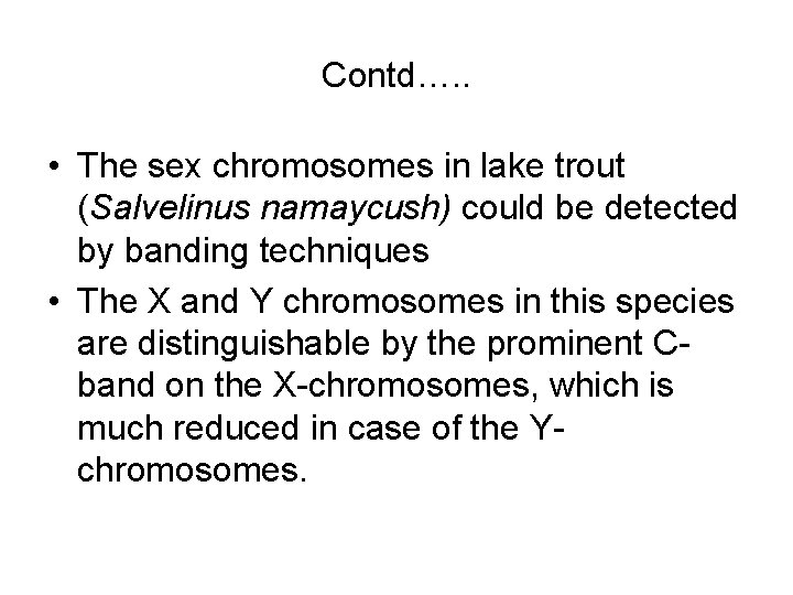 Contd…. . • The sex chromosomes in lake trout (Salvelinus namaycush) could be detected