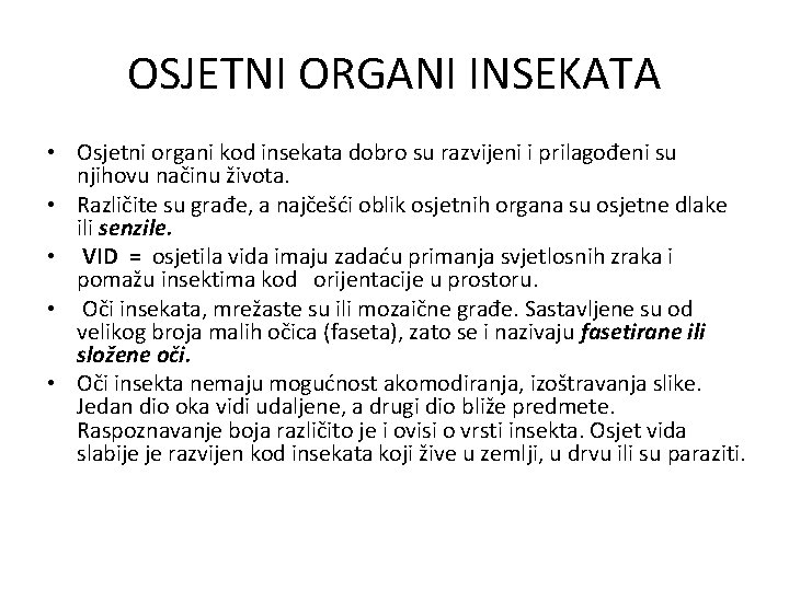 OSJETNI ORGANI INSEKATA • Osjetni organi kod insekata dobro su razvijeni i prilagođeni su