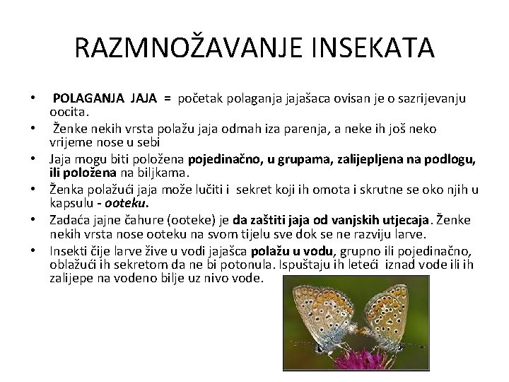 RAZMNOŽAVANJE INSEKATA • • • POLAGANJA JAJA = početak polaganja jajašaca ovisan je o