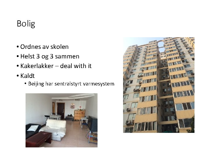 Bolig • Ordnes av skolen • Helst 3 og 3 sammen • Kakerlakker –