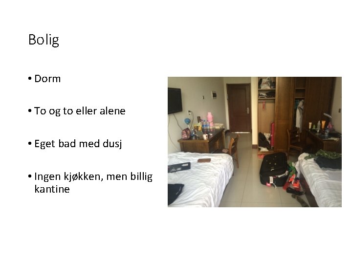 Bolig • Dorm • To og to eller alene • Eget bad med dusj