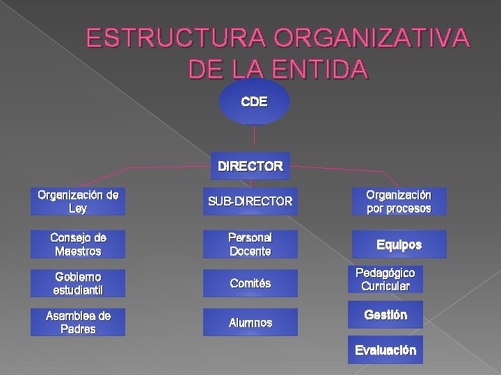 ESTRUCTURA ORGANIZATIVA DE LA ENTIDA CDE DIRECTOR Organización de Ley SUB-DIRECTOR Organización por procesos