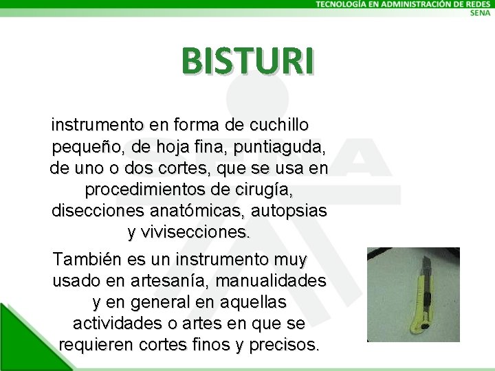 BISTURI instrumento en forma de cuchillo pequeño, de hoja fina, puntiaguda, de uno o