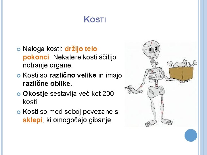 KOSTI Naloga kosti: držijo telo pokonci. Nekatere kosti ščitijo notranje organe. Kosti so različno
