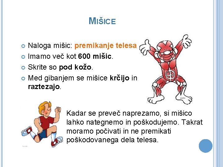 MIŠICE Naloga mišic: premikanje telesa. Imamo več kot 600 mišic. Skrite so pod kožo.