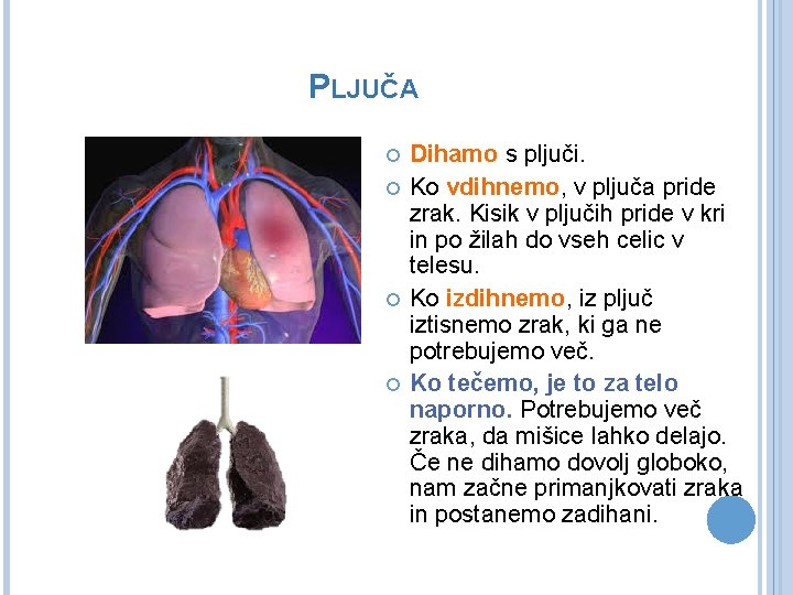 PLJUČA Dihamo s pljuči. Ko vdihnemo, v pljuča pride zrak. Kisik v pljučih pride