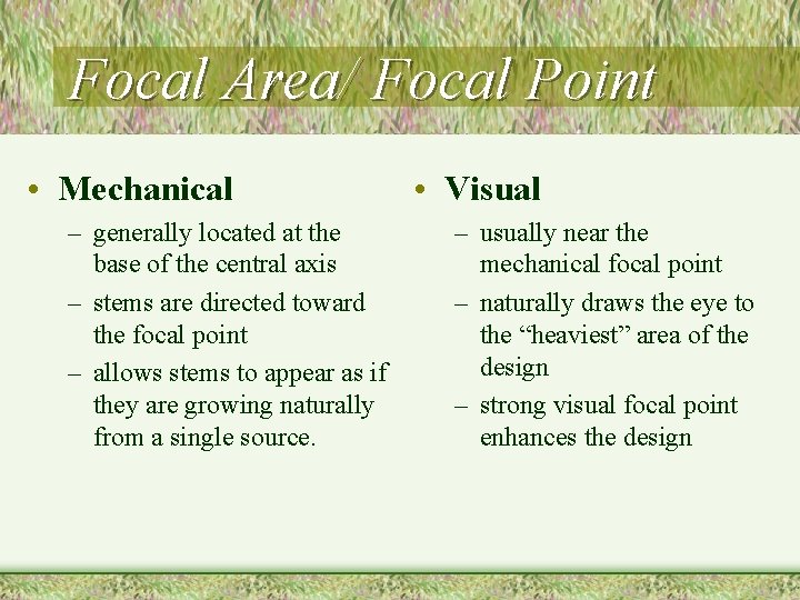 Focal Area/ Focal Point • Mechanical – generally located at the base of the