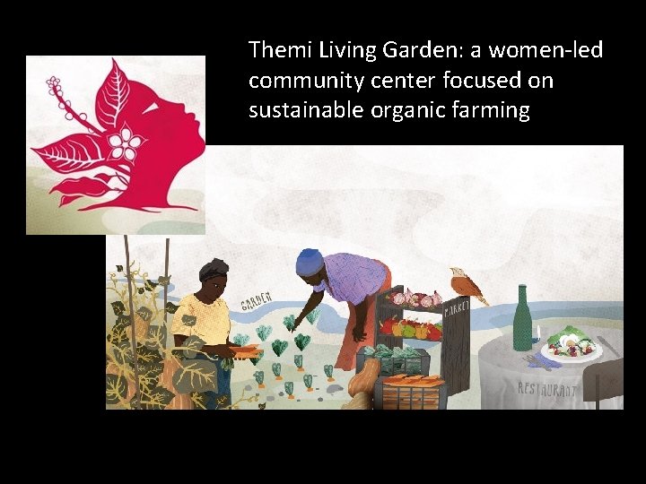 Themi Living Garden: a women-led community center focused on sustainable organic farming 