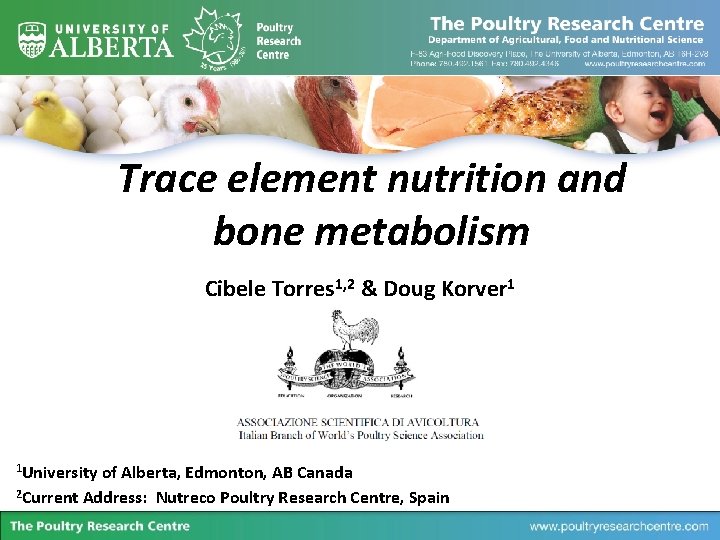 Trace element nutrition and bone metabolism Cibele Torres 1, 2 & Doug Korver 1
