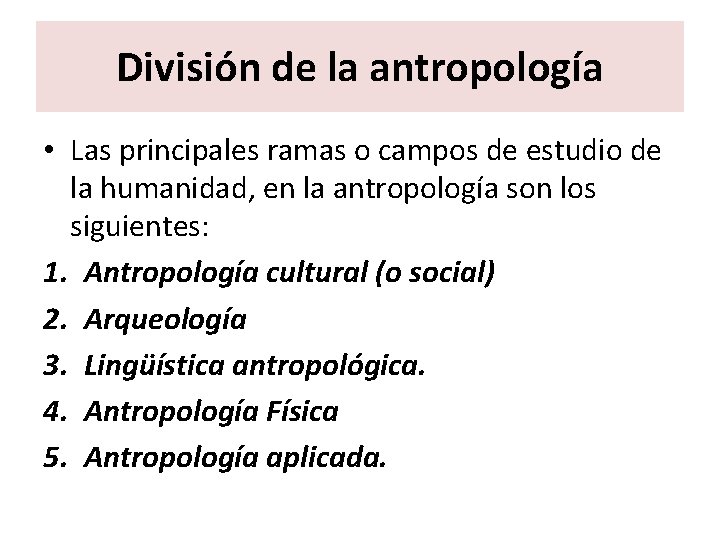 División de la antropología • Las principales ramas o campos de estudio de la