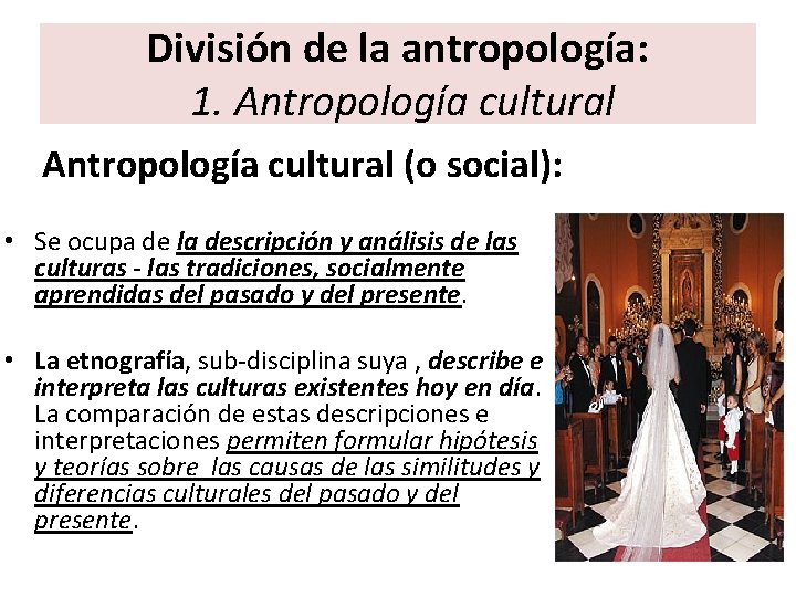 División de la antropología: 1. Antropología cultural (o social): • Se ocupa de la