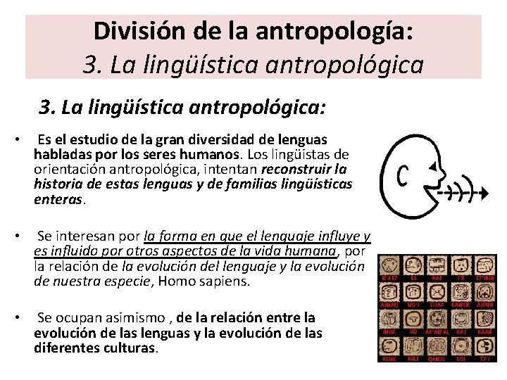 División de la antropología: 3. La lingüística antropológica: • Es el estudio de la