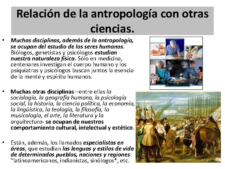 Relación de la antropología con otras ciencias. • Muchas disciplinas, además de la antropología,