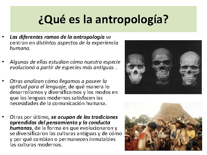 ¿Qué es la antropología? • Las diferentes ramas de la antropología se centran en