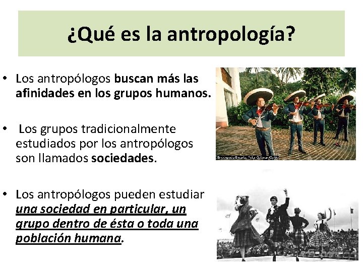 ¿Qué es la antropología? • Los antropólogos buscan más las afinidades en los grupos