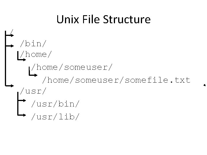 Unix File Structure / /bin/ /home/someuser/somefile. txt /usr/bin/ /usr/lib/ 