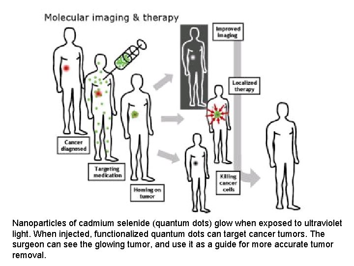 Nanoparticles of cadmium selenide (quantum dots) glow when exposed to ultraviolet light. When injected,