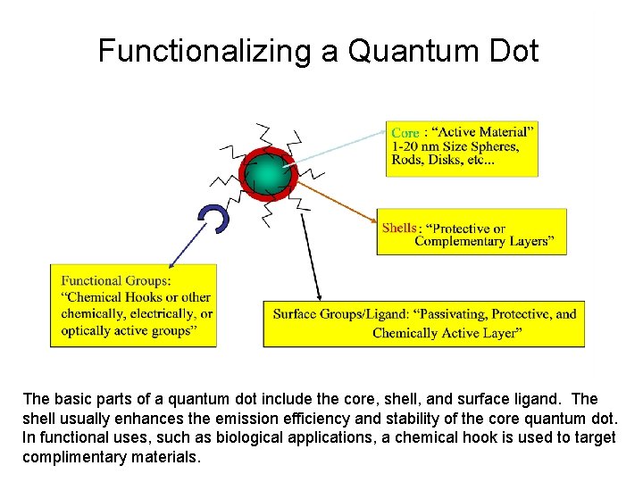 Functionalizing a Quantum Dot The basic parts of a quantum dot include the core,