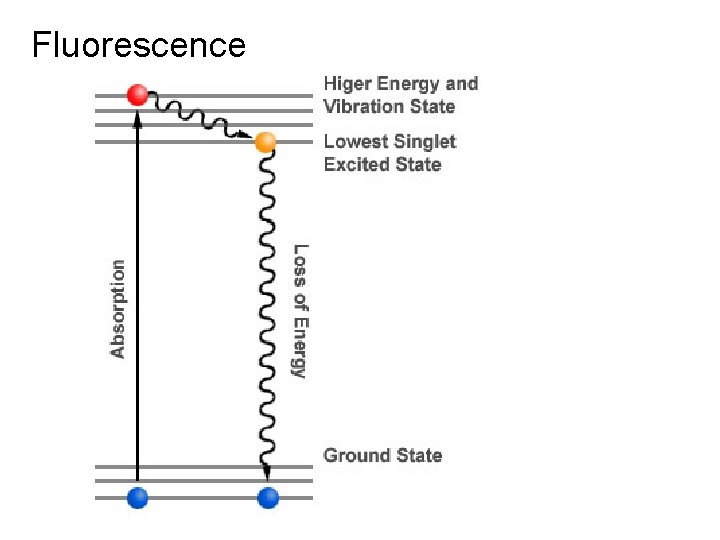 Fluorescence 