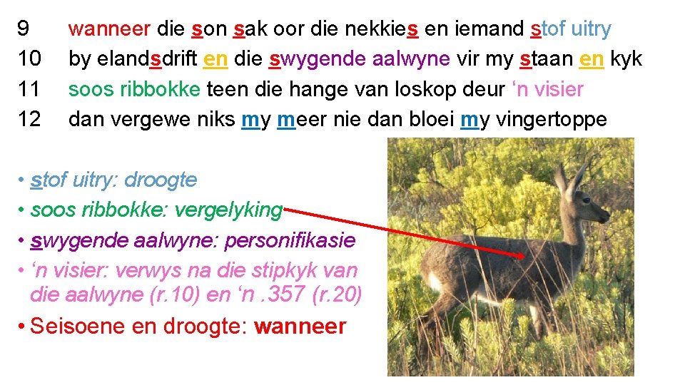 9 10 11 12 wanneer die son sak oor die nekkies en iemand stof
