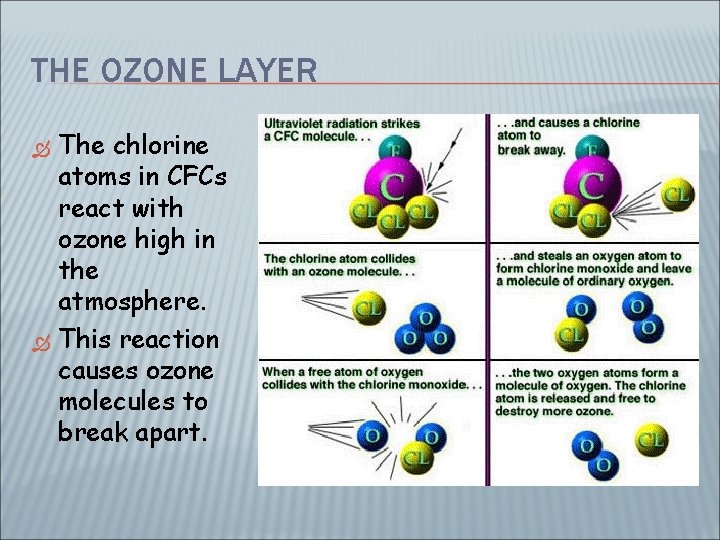 THE OZONE LAYER The chlorine atoms in CFCs react with ozone high in the