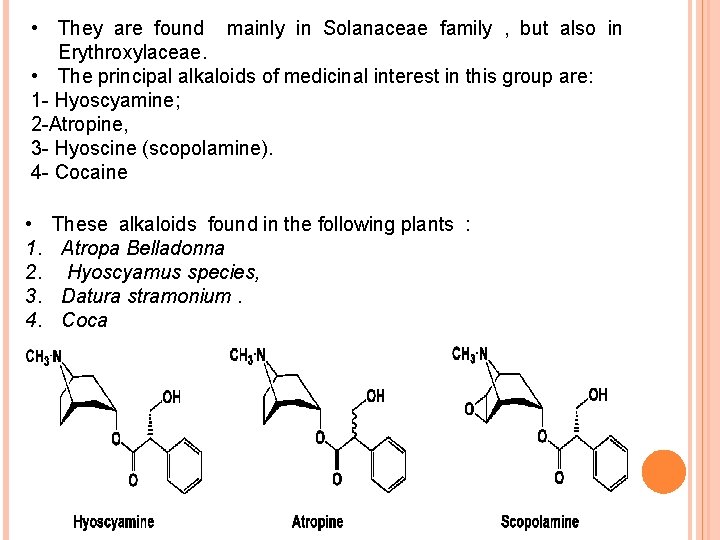  • They are found mainly in Solanaceae family , but also in Erythroxylaceae.