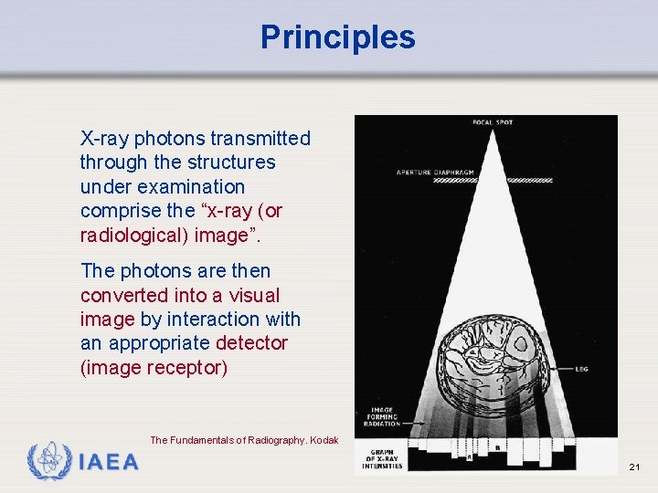 Principles X-ray photons transmitted through the structures under examination comprise the “x-ray (or radiological)