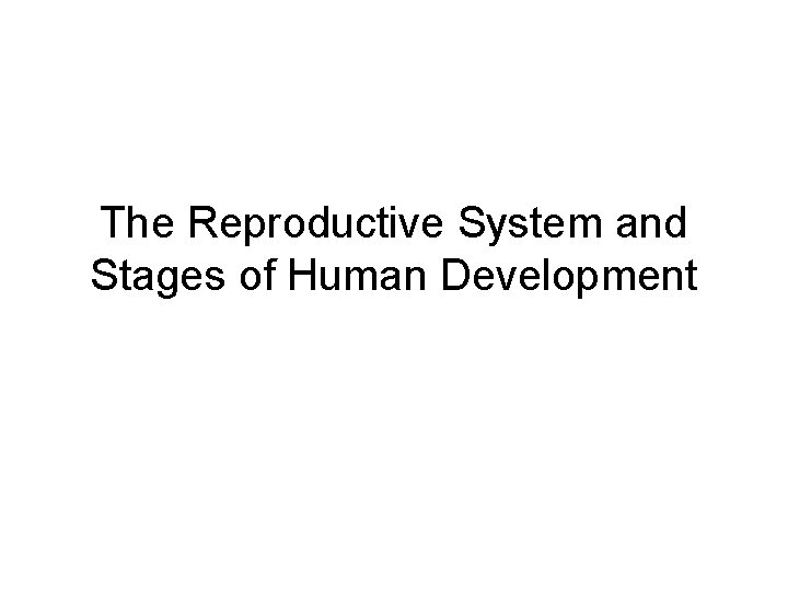 The Reproductive System and Stages of Human Development 