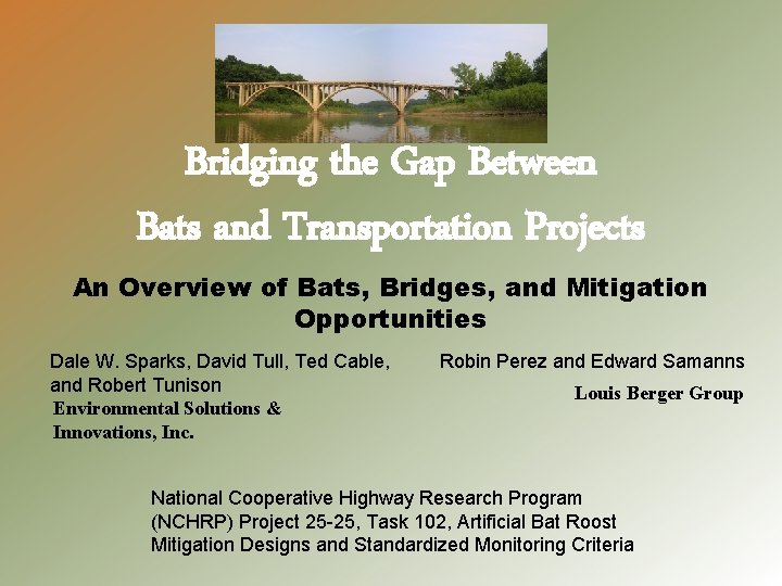 Bridging the Gap Between Bats and Transportation Projects An Overview of Bats, Bridges, and