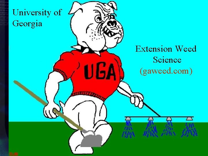 University of Georgia Extension Weed Science (gaweed. com) 