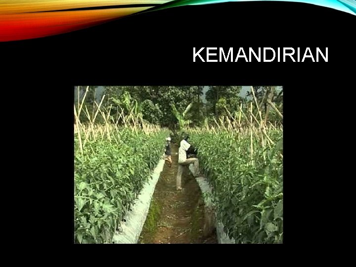 KEMANDIRIAN 