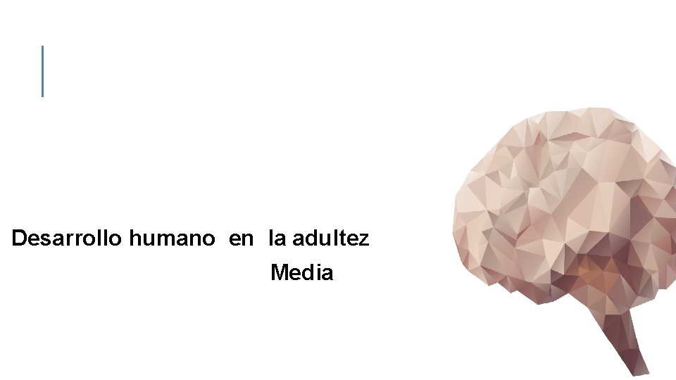 Desarrollo humano en la adultez Media 