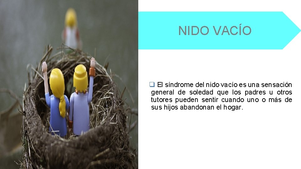 NIDO VACÍO q El síndrome del nido vacío es una sensación general de soledad