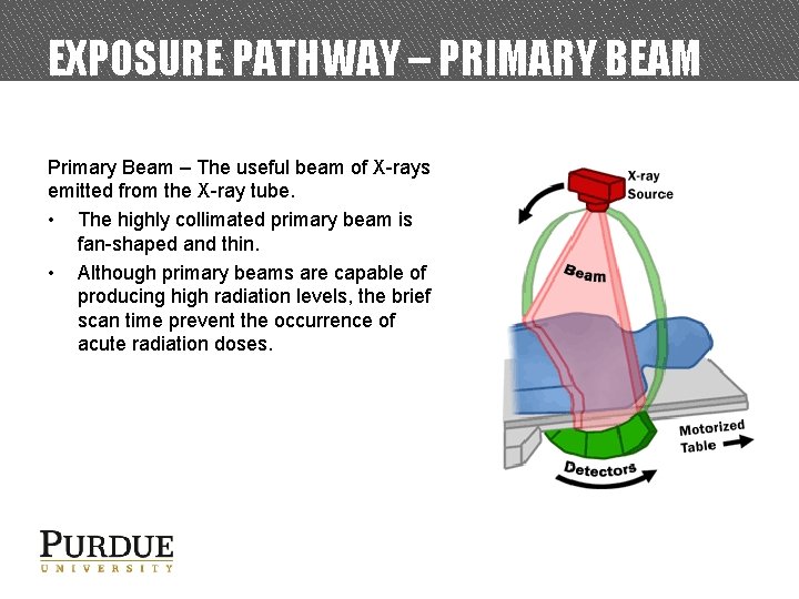 EXPOSURE PATHWAY – PRIMARY BEAM Primary Beam – The useful beam of X-rays emitted