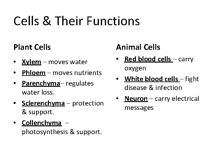 Cells & Their Functions Plant Cells Animal Cells • Xylem – moves water • Cells & Their Functions Plant Cells Animal Cells • Xylem – moves water •