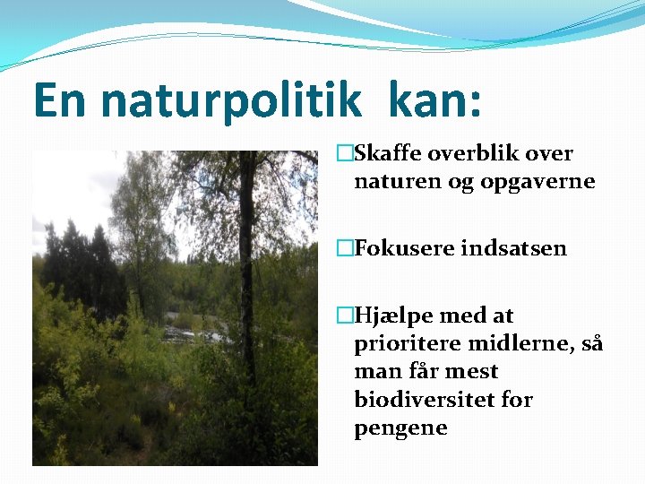 En naturpolitik kan: �Skaffe overblik over naturen og opgaverne �Fokusere indsatsen �Hjælpe med at