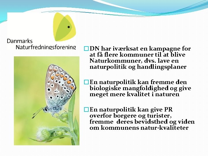 �DN har iværksat en kampagne for at få flere kommuner til at blive Naturkommuner,