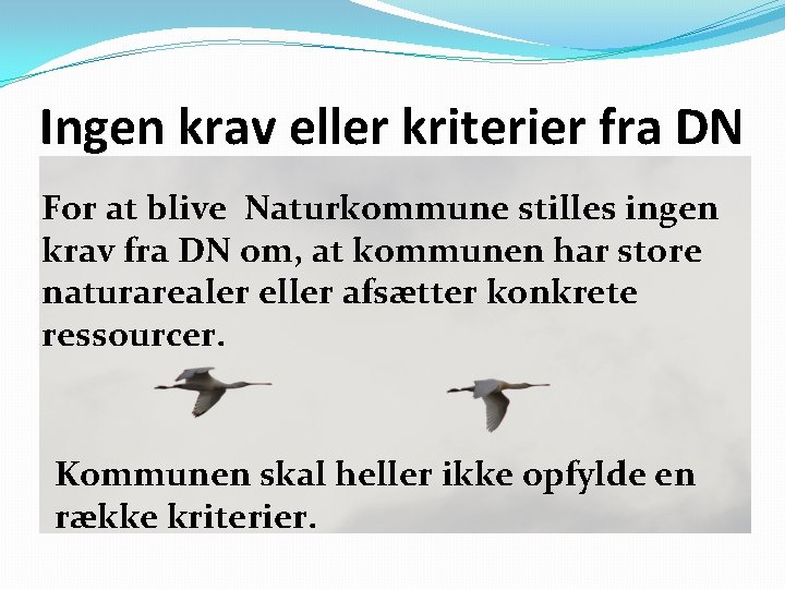 Ingen krav eller kriterier fra DN For at blive Naturkommune stilles ingen krav fra