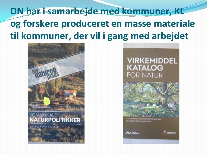 DN har i samarbejde med kommuner, KL og forskere produceret en masse materiale til